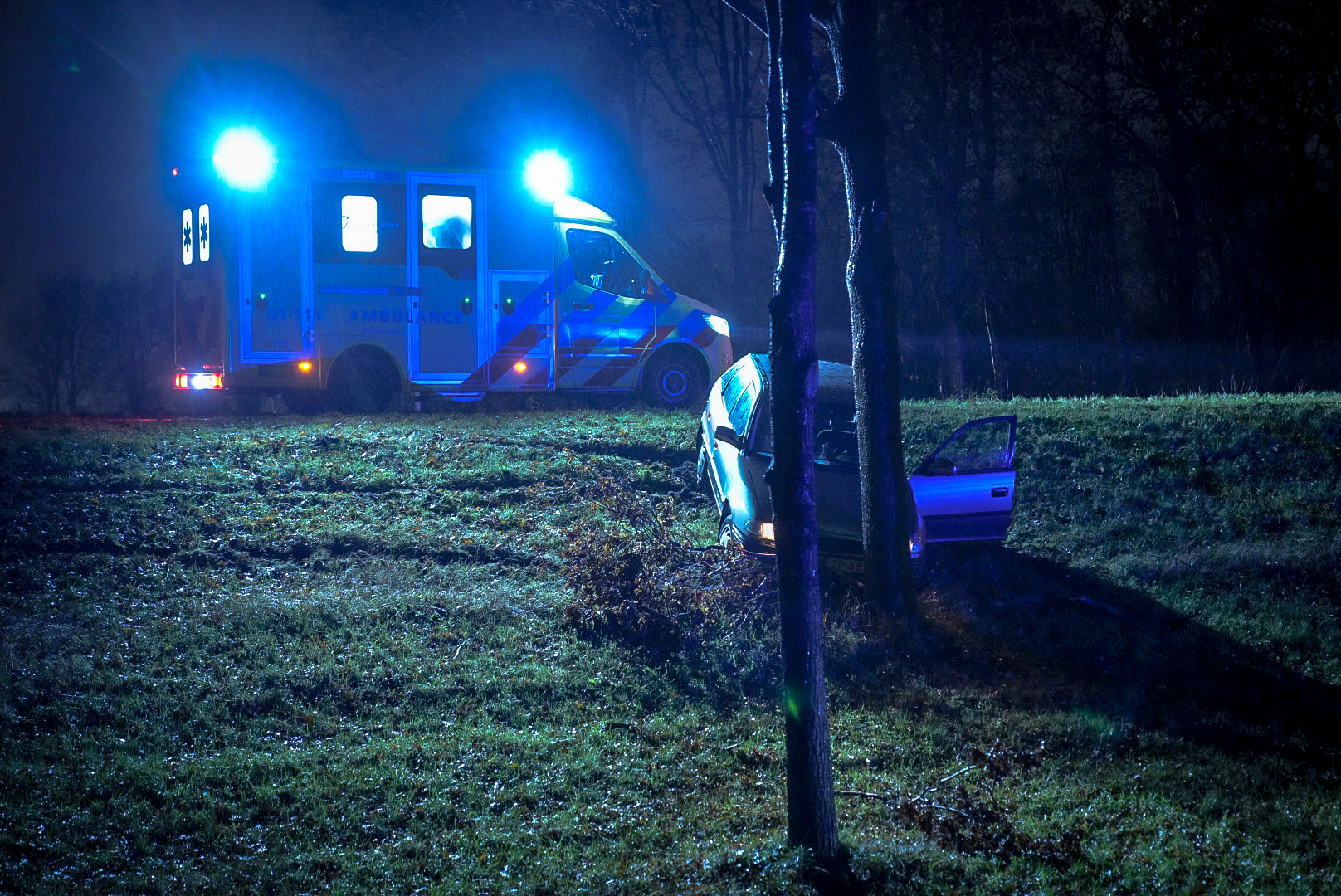 Auto raakt van de weg en botst tegen boom