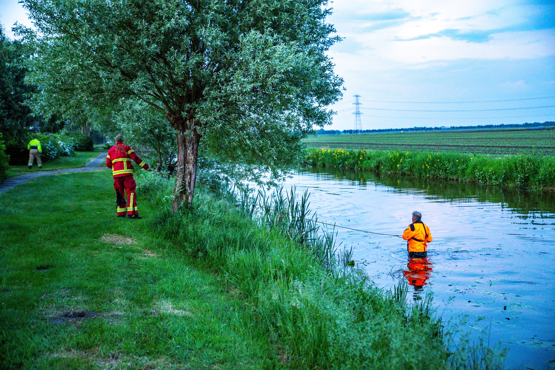 Brandweer ruim een uur bezig om ree te redden