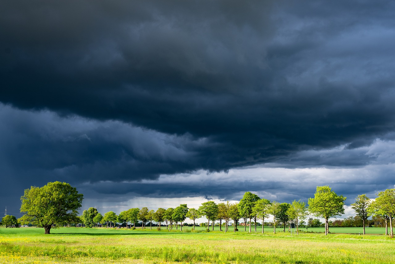 Zware windstoten op komst: code geel voor kustprovincies