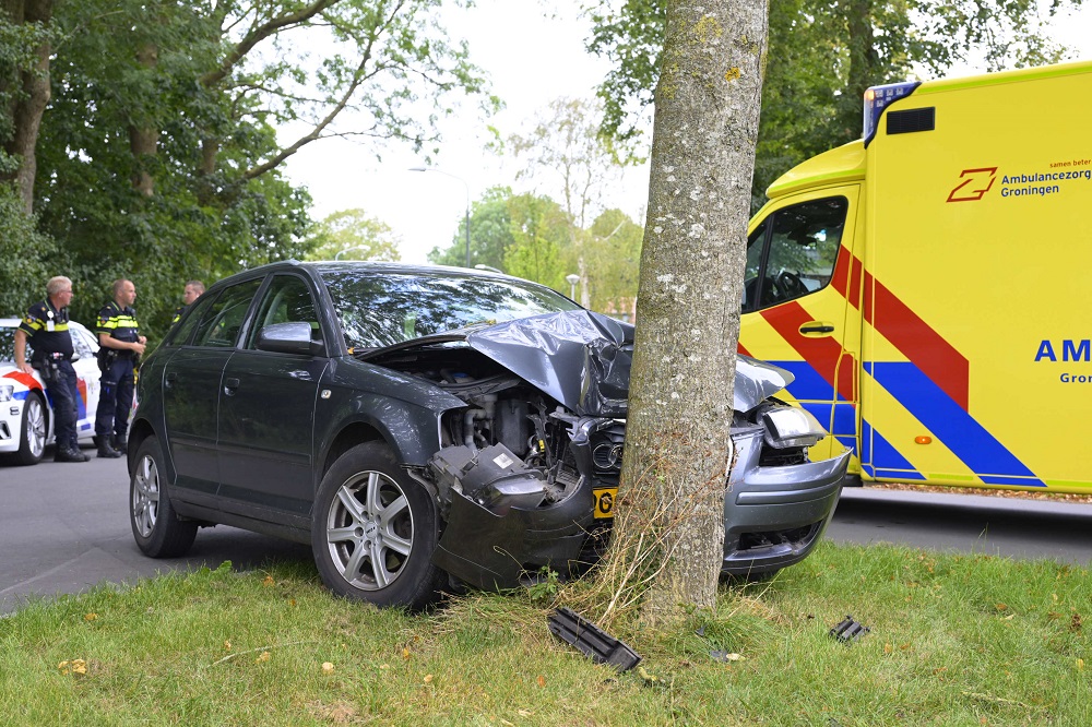 Automobilist vliegt uit de bocht en botst tegen boom