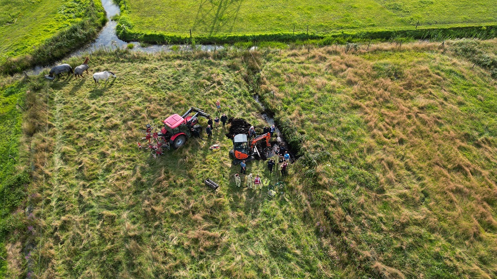 Paard na 1,5 uur uit sloot gered