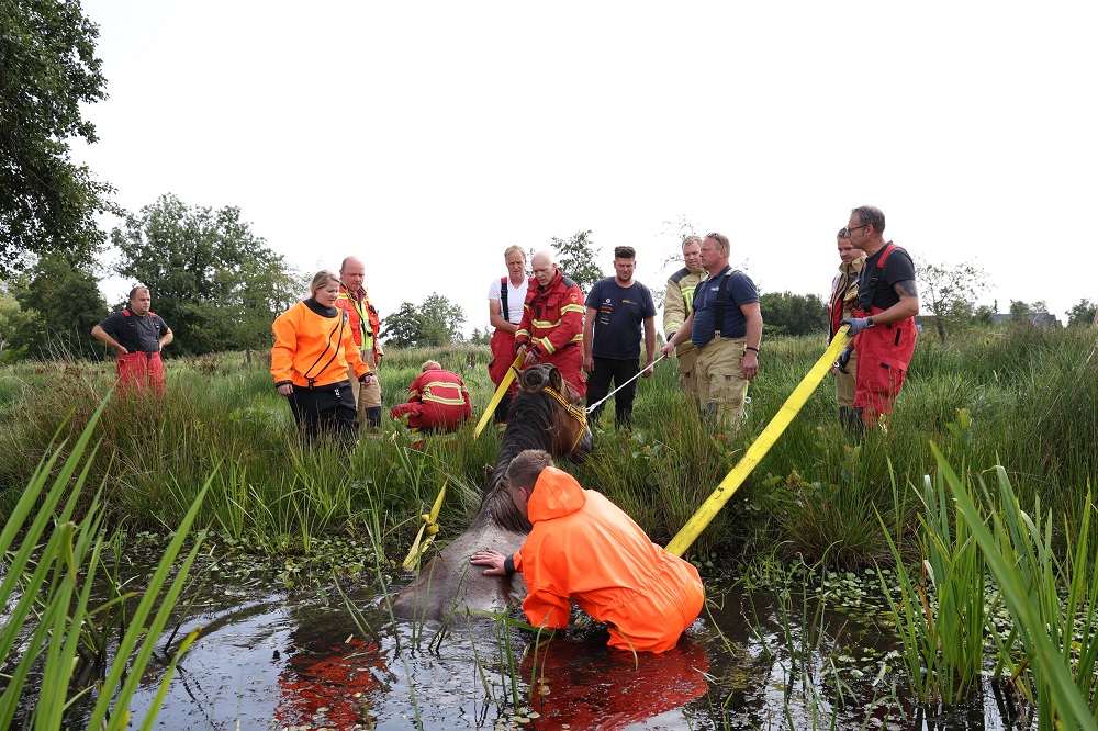 Brandweer redt paard uit sloot