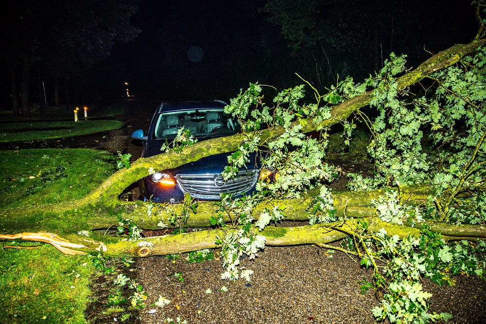 Automobilist gewond na botsing tegen omgevallen boom