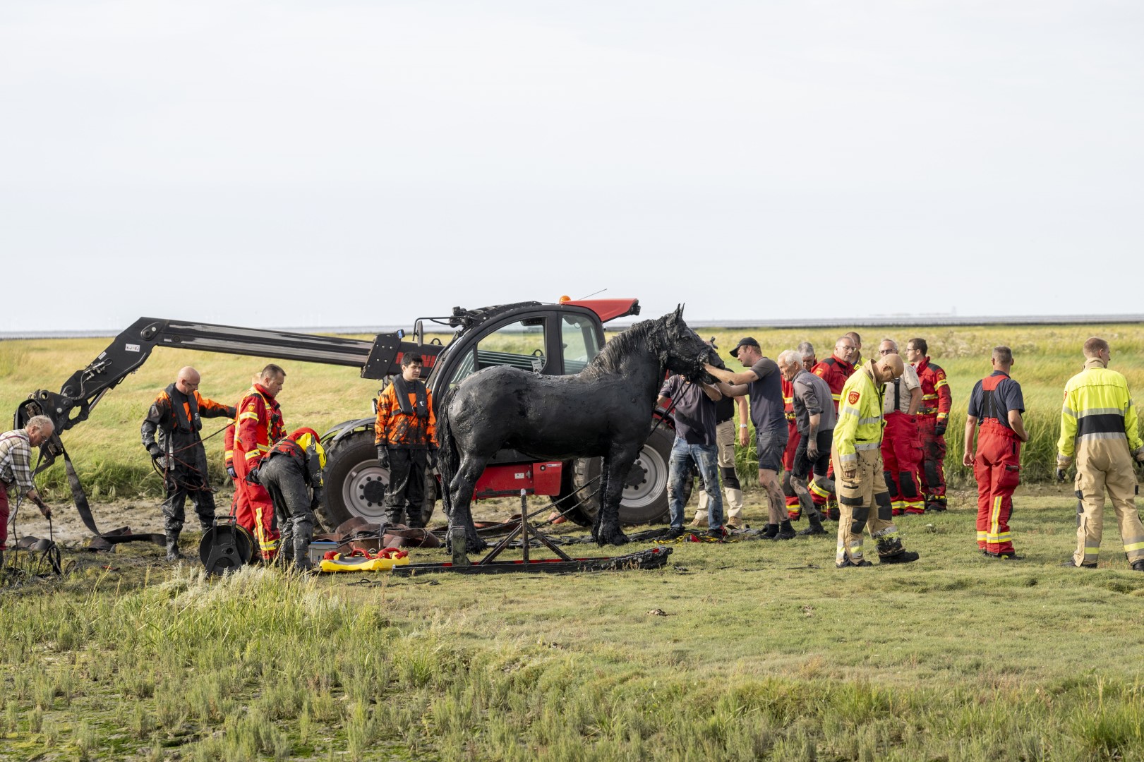 Paard door brandweer gered uit vaargeul