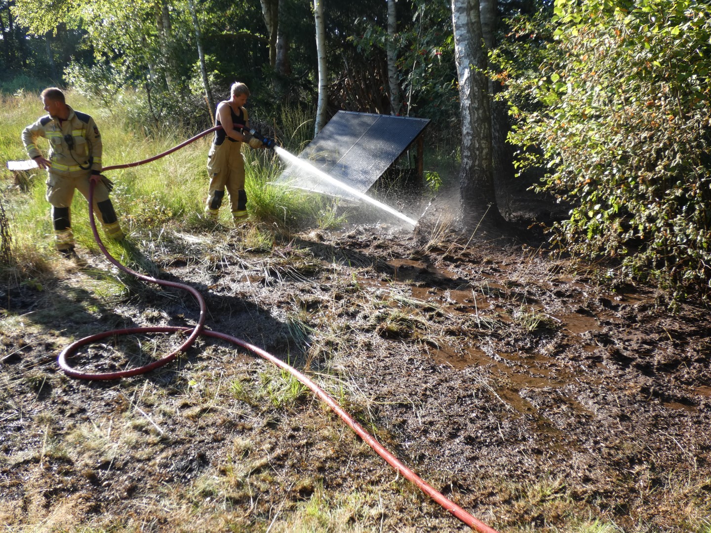 Omstanders ontdekken bosbrand