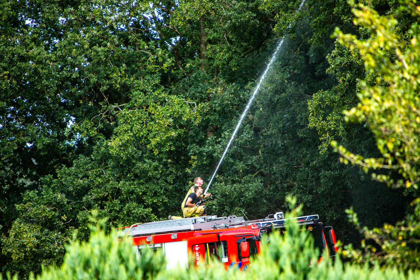 Brandweer spuit kat uit de boom