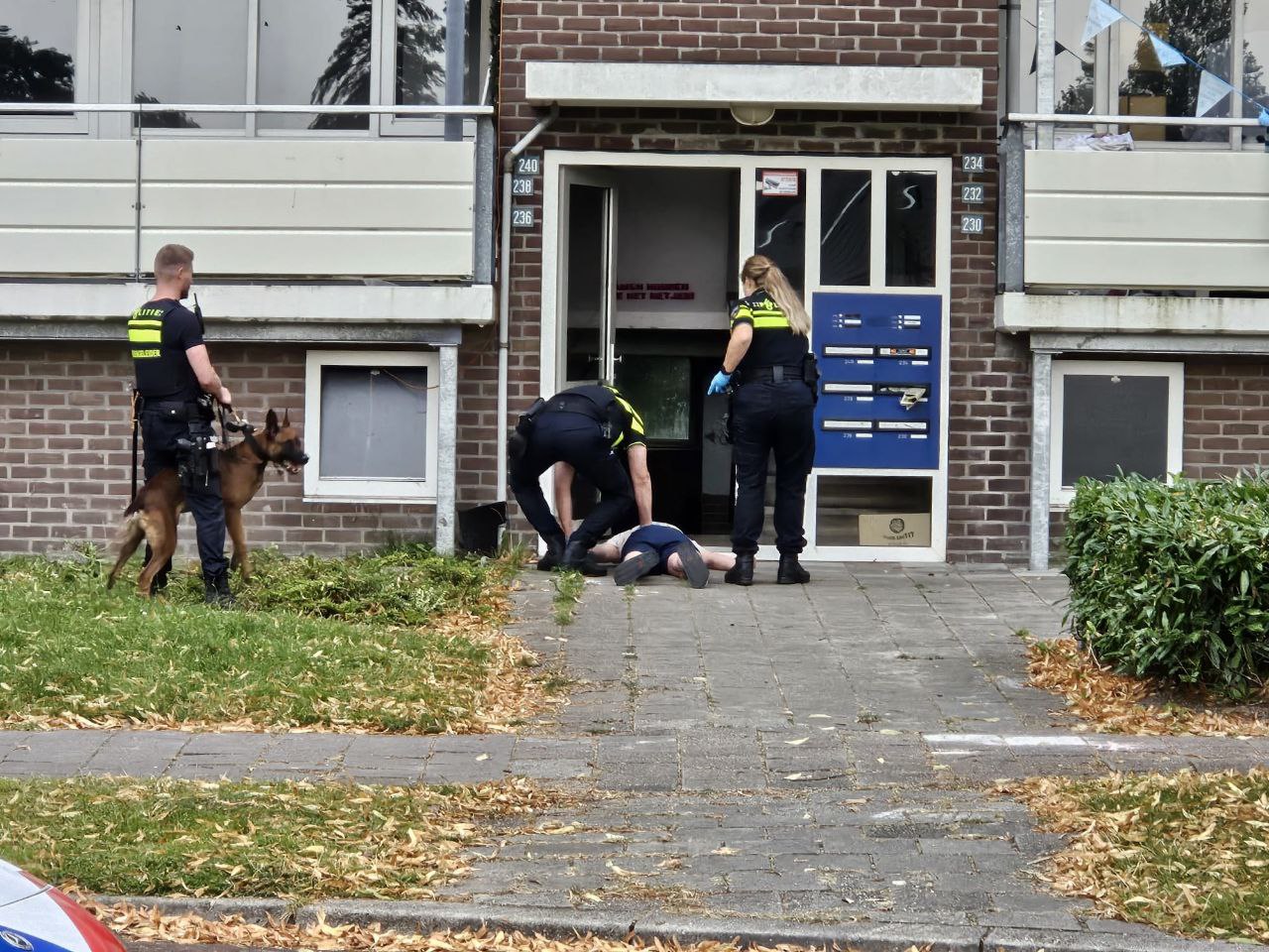 Vrouw neergestoken en raakt gewond