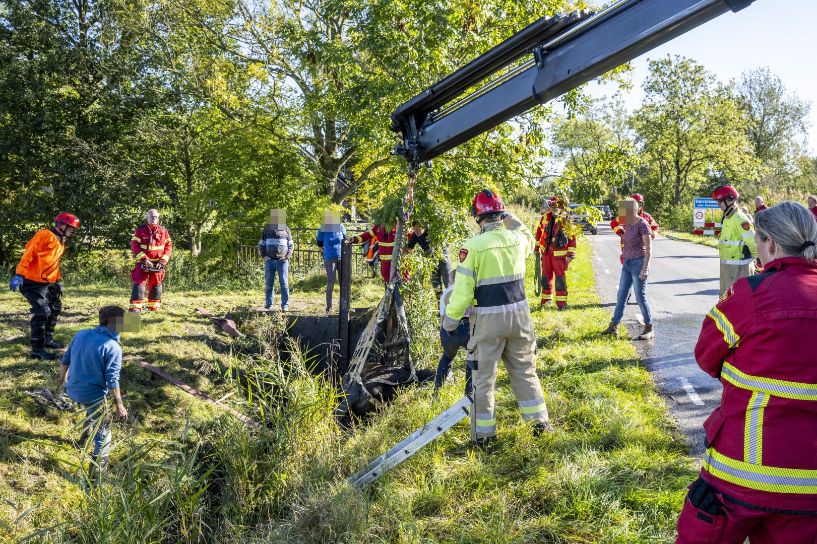 Brandweer hijst paard uit sloot met kraan