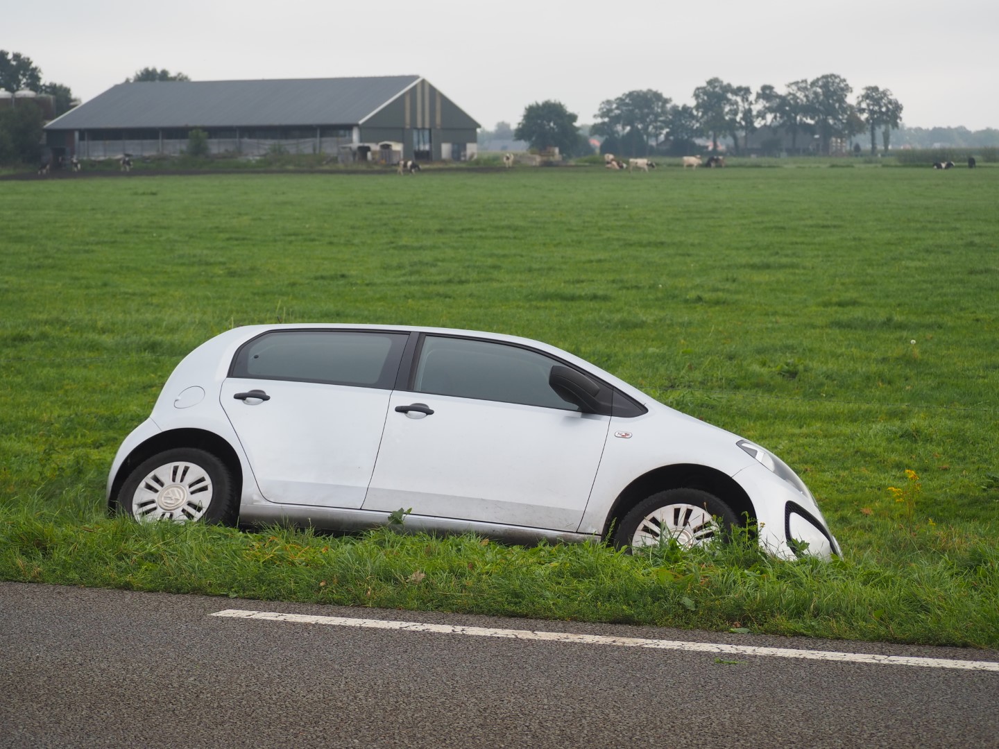 Automobilist gewond na crash in sloot