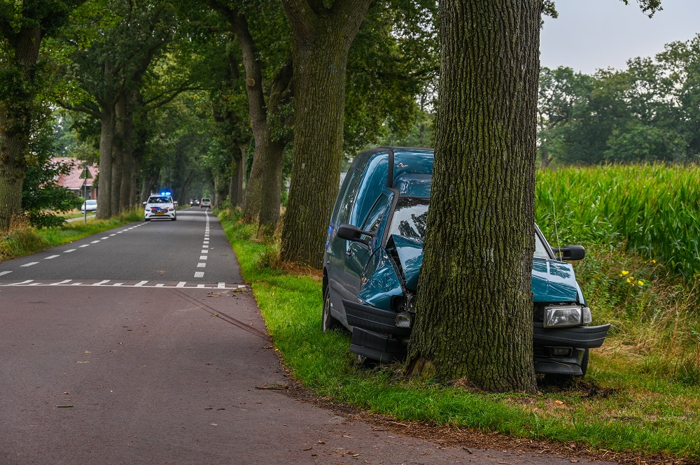 Automobilist wijkt uit voor vrachtwagen en botst tegen boom