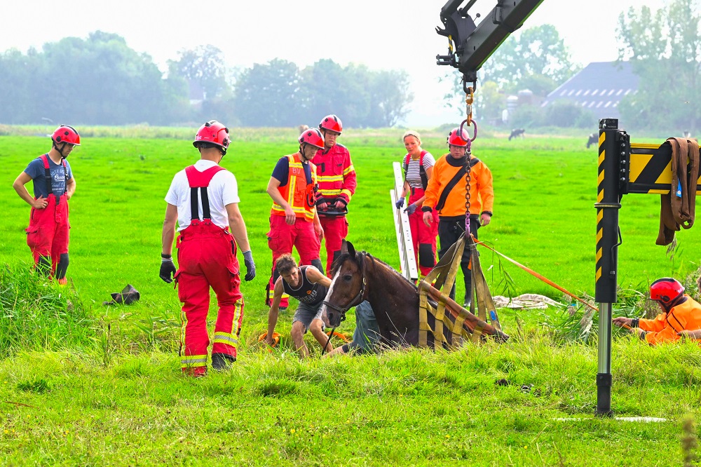 Brandweer redt paard uit sloot