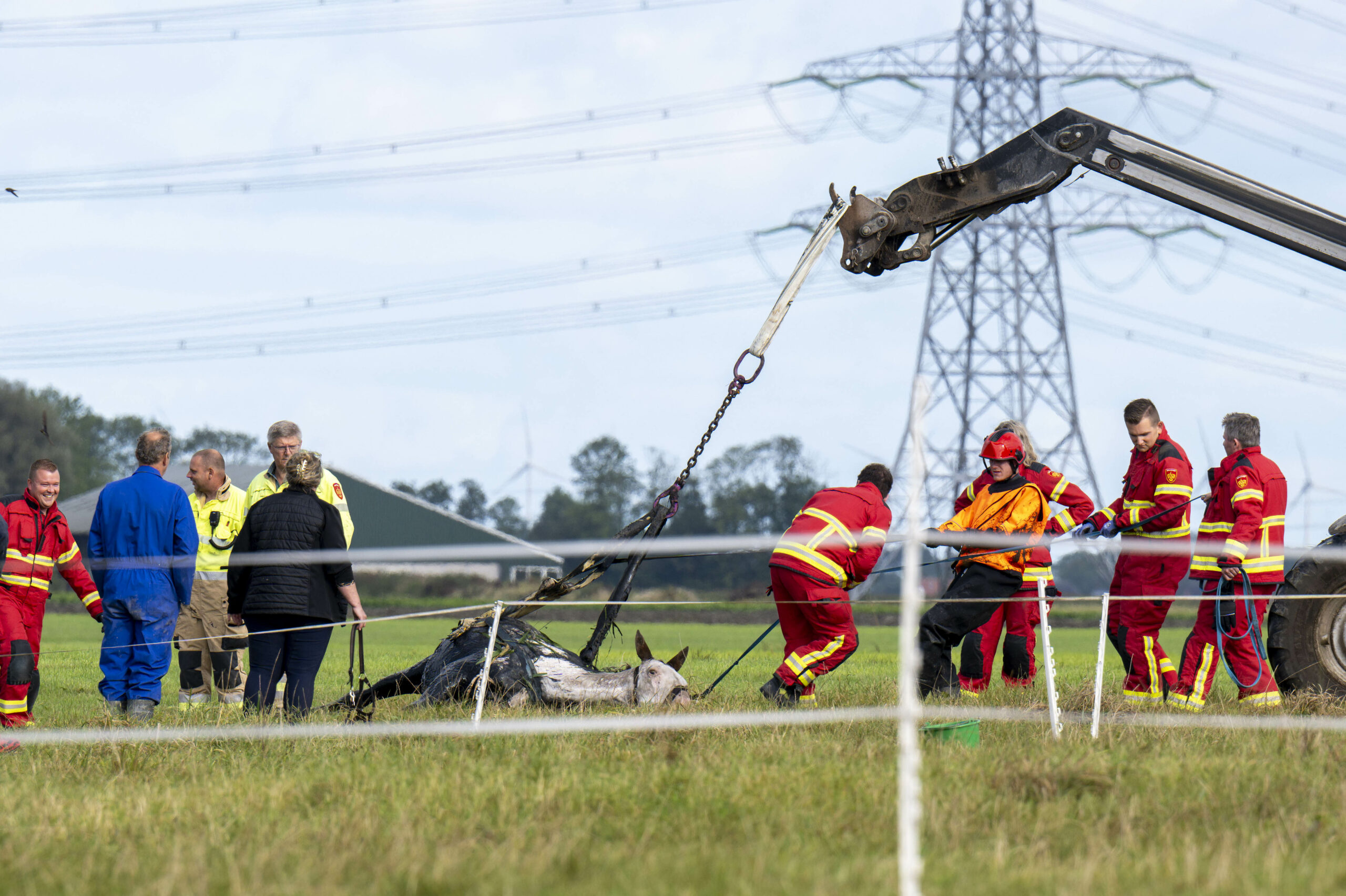 Brandweer redt paard uit sloot