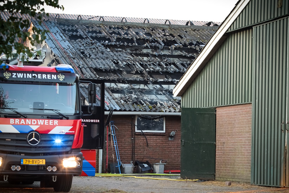 Grote brand legt koeienstal in de as