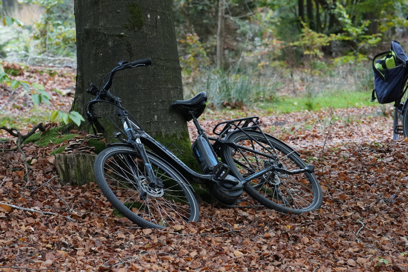 Fietser ernstig gewond na valpartij in bos