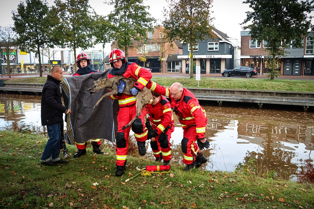 Brandweer redt ree uit water