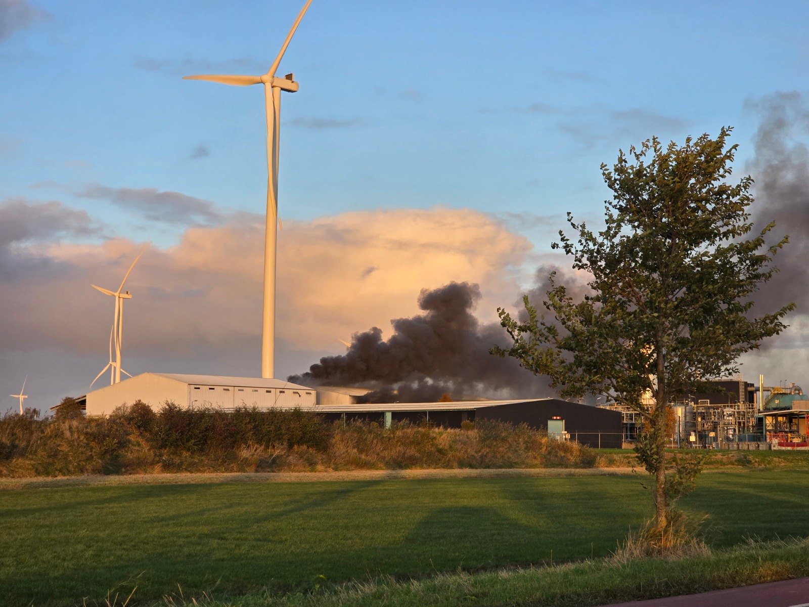 NL-Alert wegens grote brand in silo van bedrijf: ‘Blijf uit de rook’