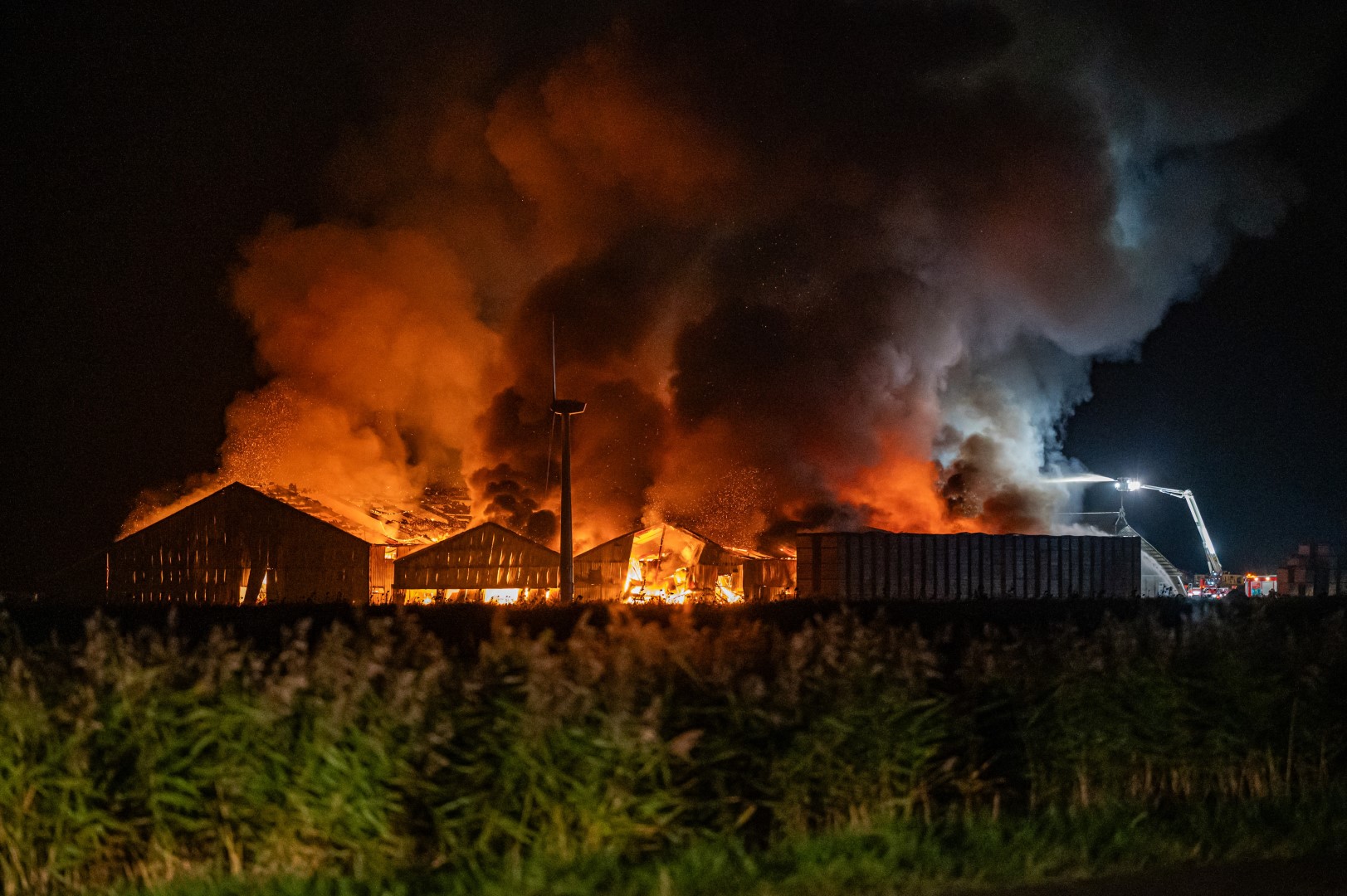 VIDEO: Grote brand in drie loodsen, vlammenzee legt ze in as