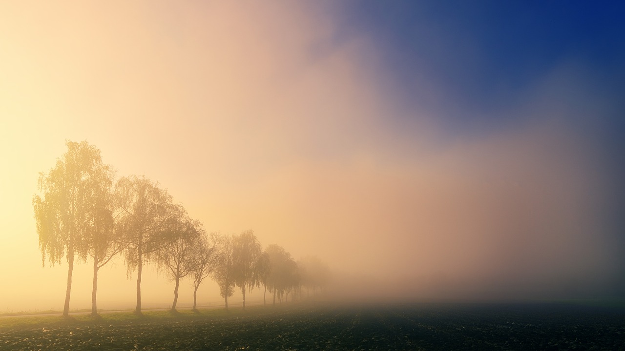 Code geel in het hele land wegens dichte mist