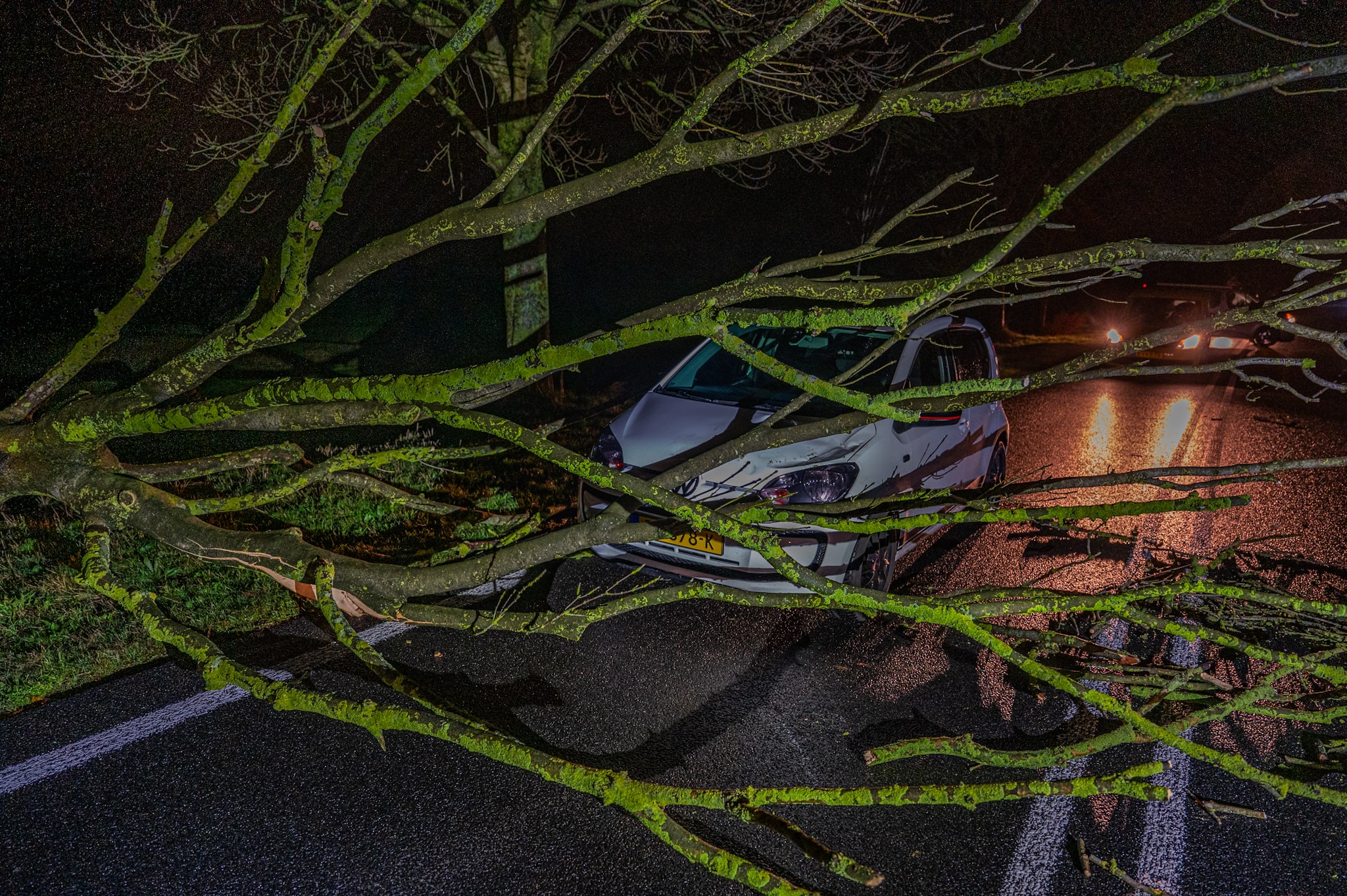 Boom valt op rijdende auto, bestuurder gewond