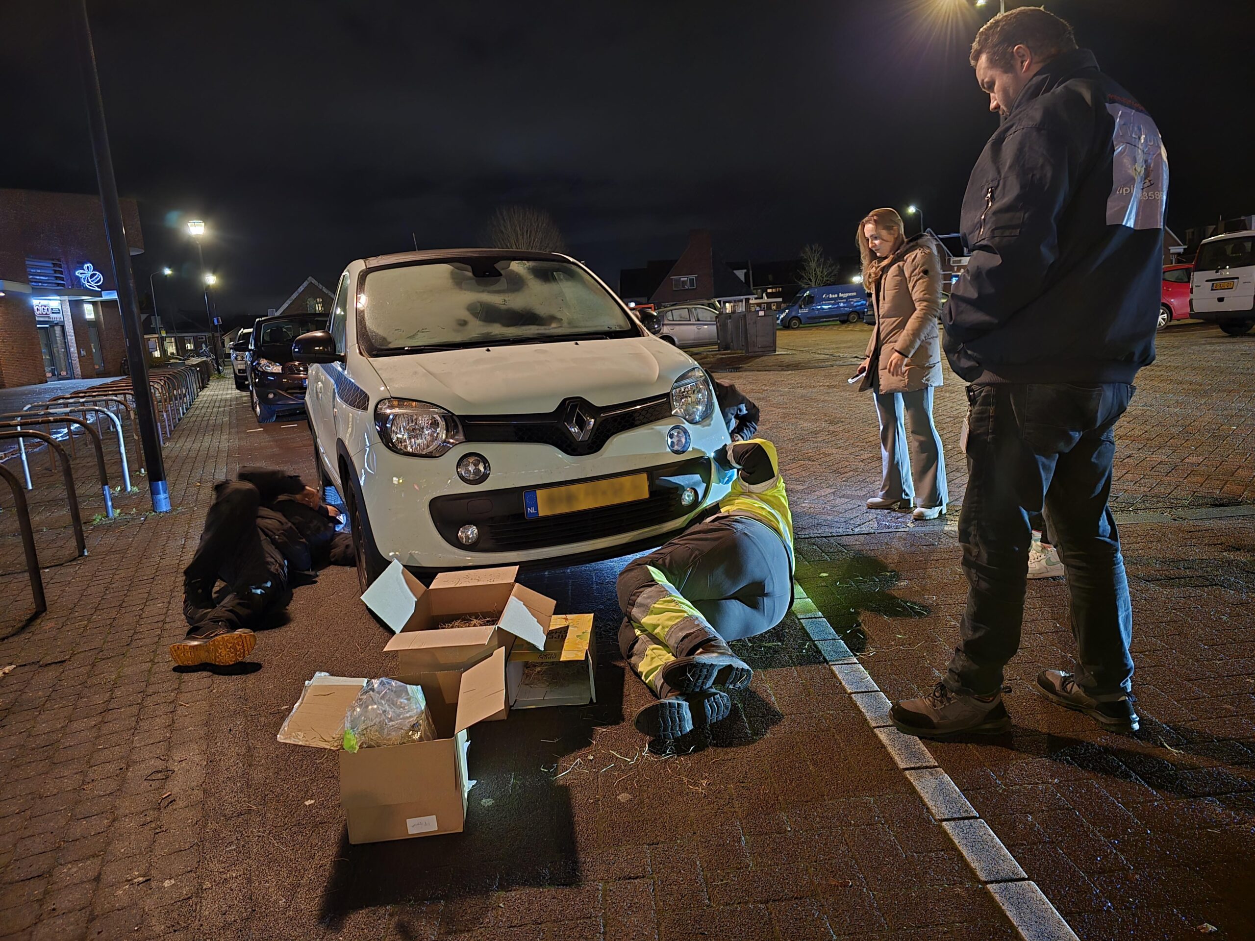 VIDEO: Konijn verschuilt zich onder auto en laat zich niet vangen