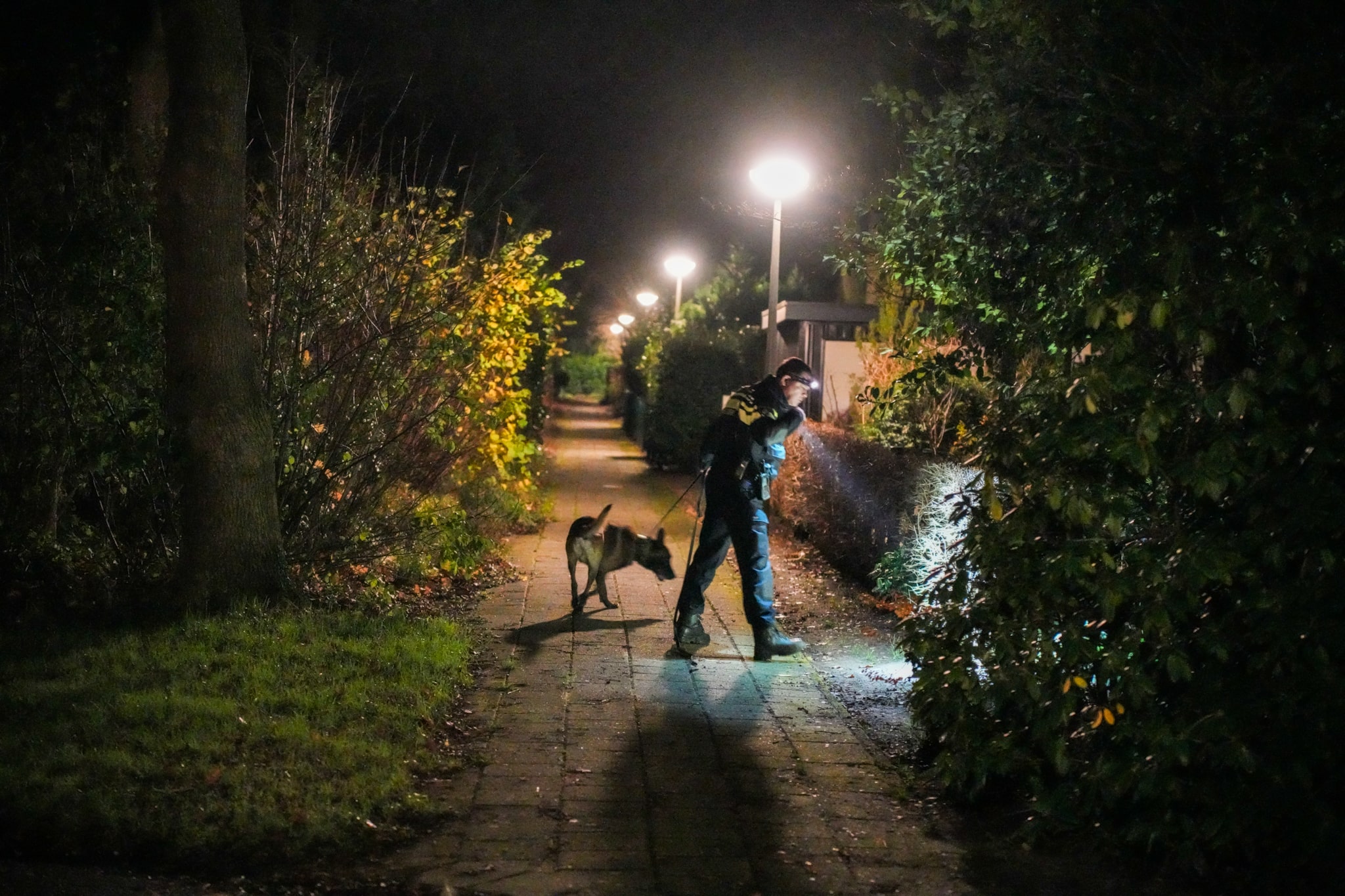 Klopjacht na woninginbraak