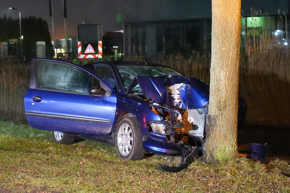 Auto botst tegen boom, inzittenden gevlucht