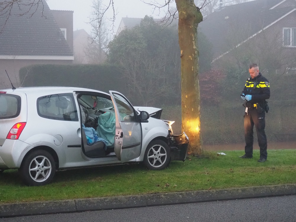 Auto botst tegen boom, bestuurder gewond