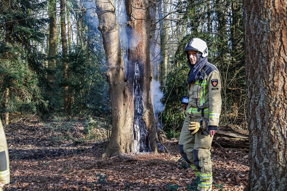 Monumentale boom in brand op landgoed de Braak