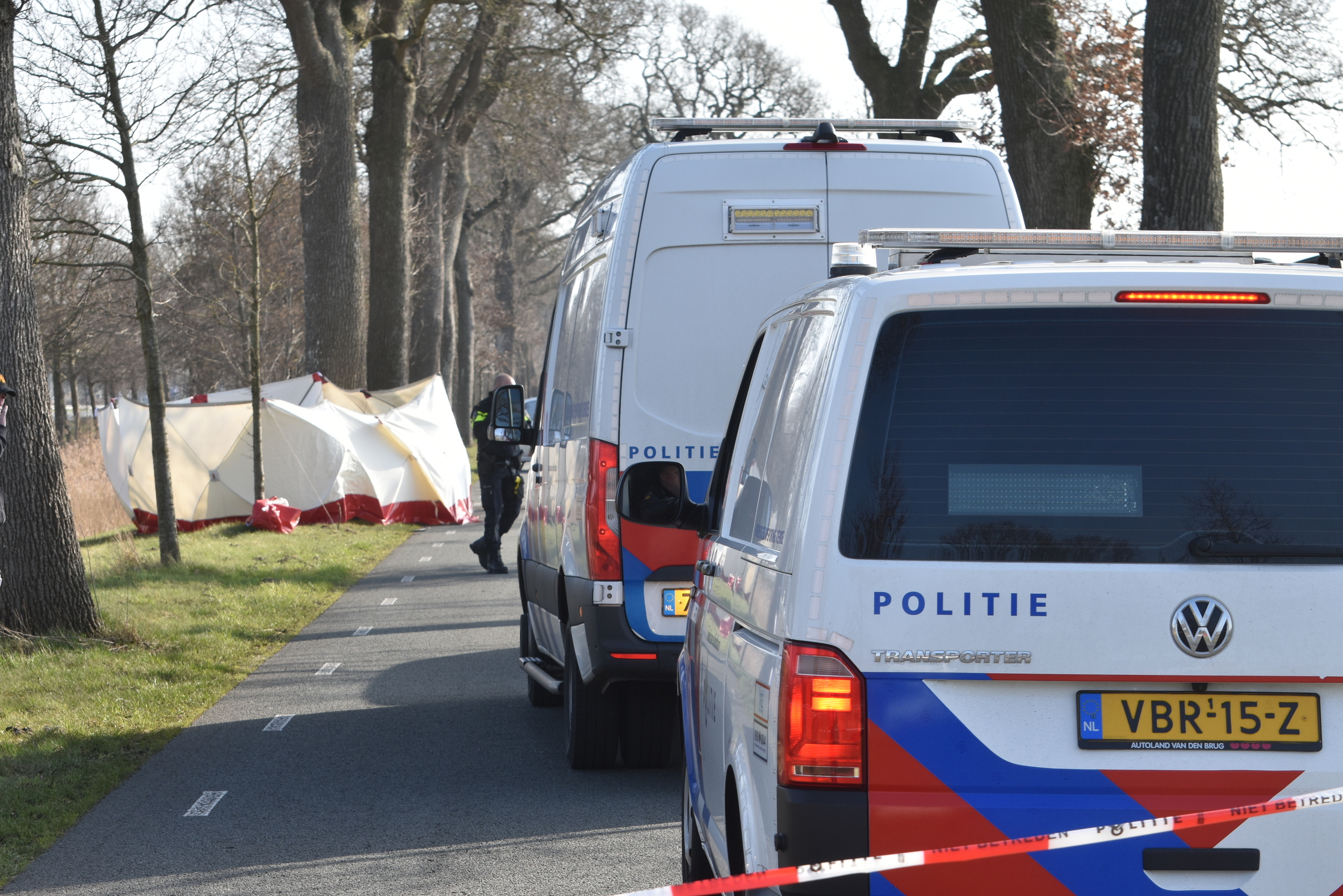 Man overleden nadat hij tegen boom crasht