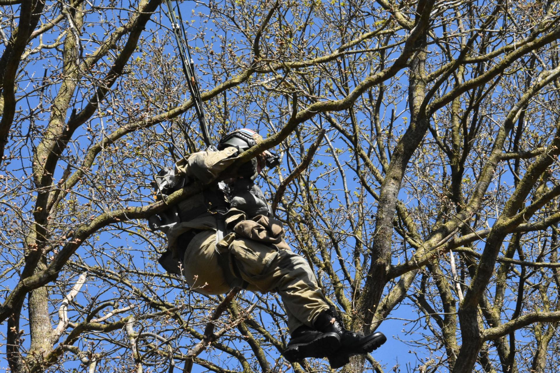 Parachutist belandt in boom tijdens demonstratie, brandweer ingezet voor redding