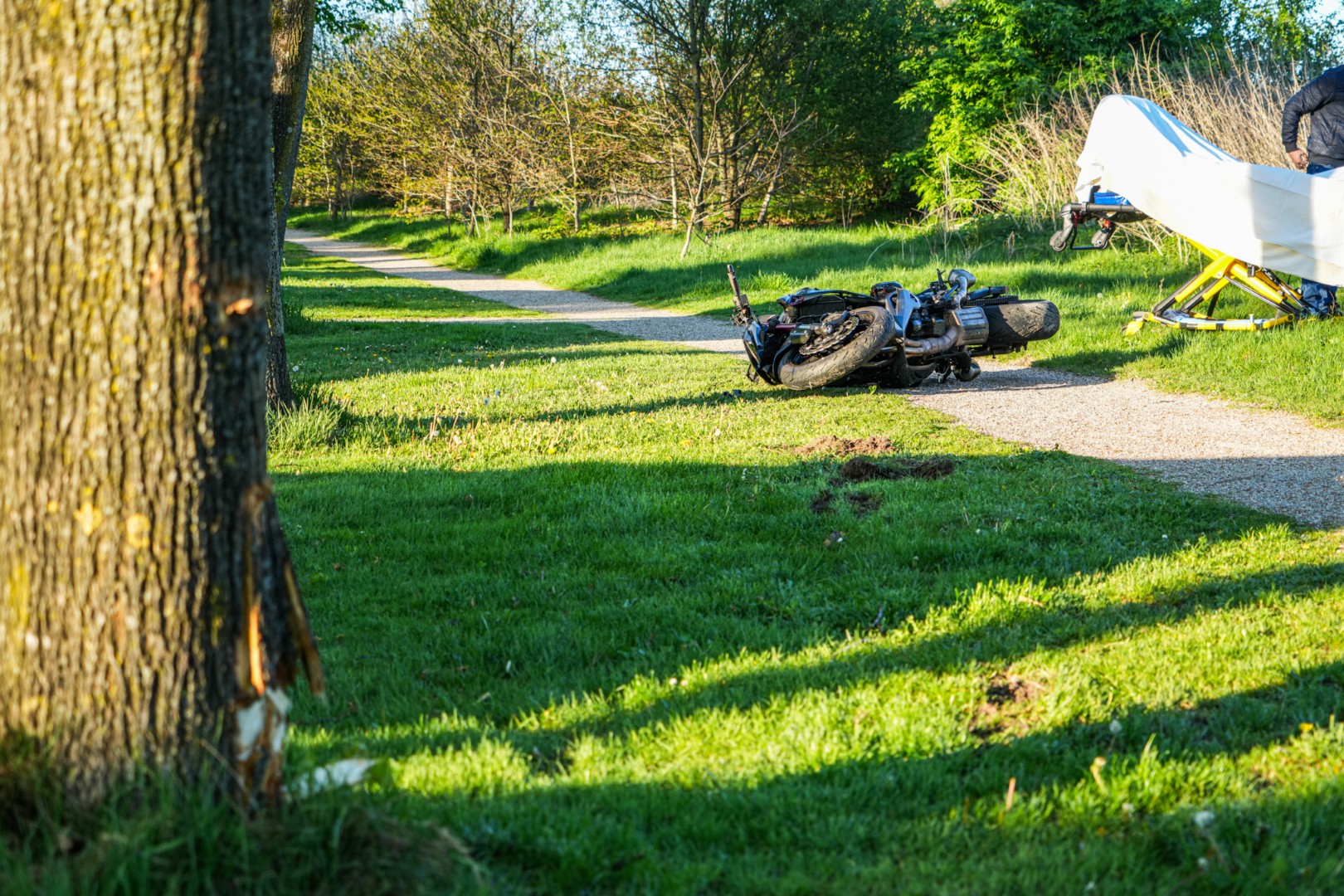 Motorrijder botst tegen boom en raakt gewond