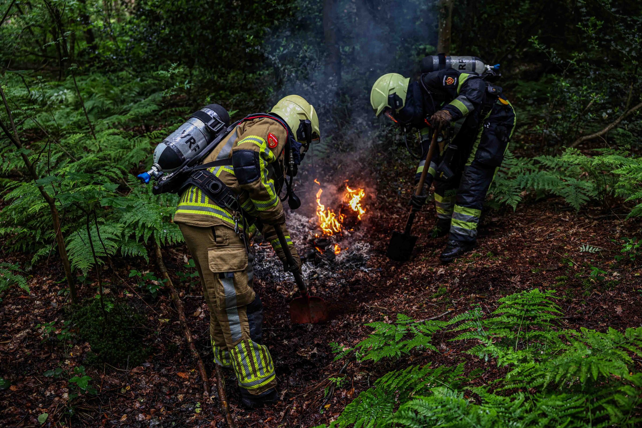 Brand in bos snel geblust door brandweer