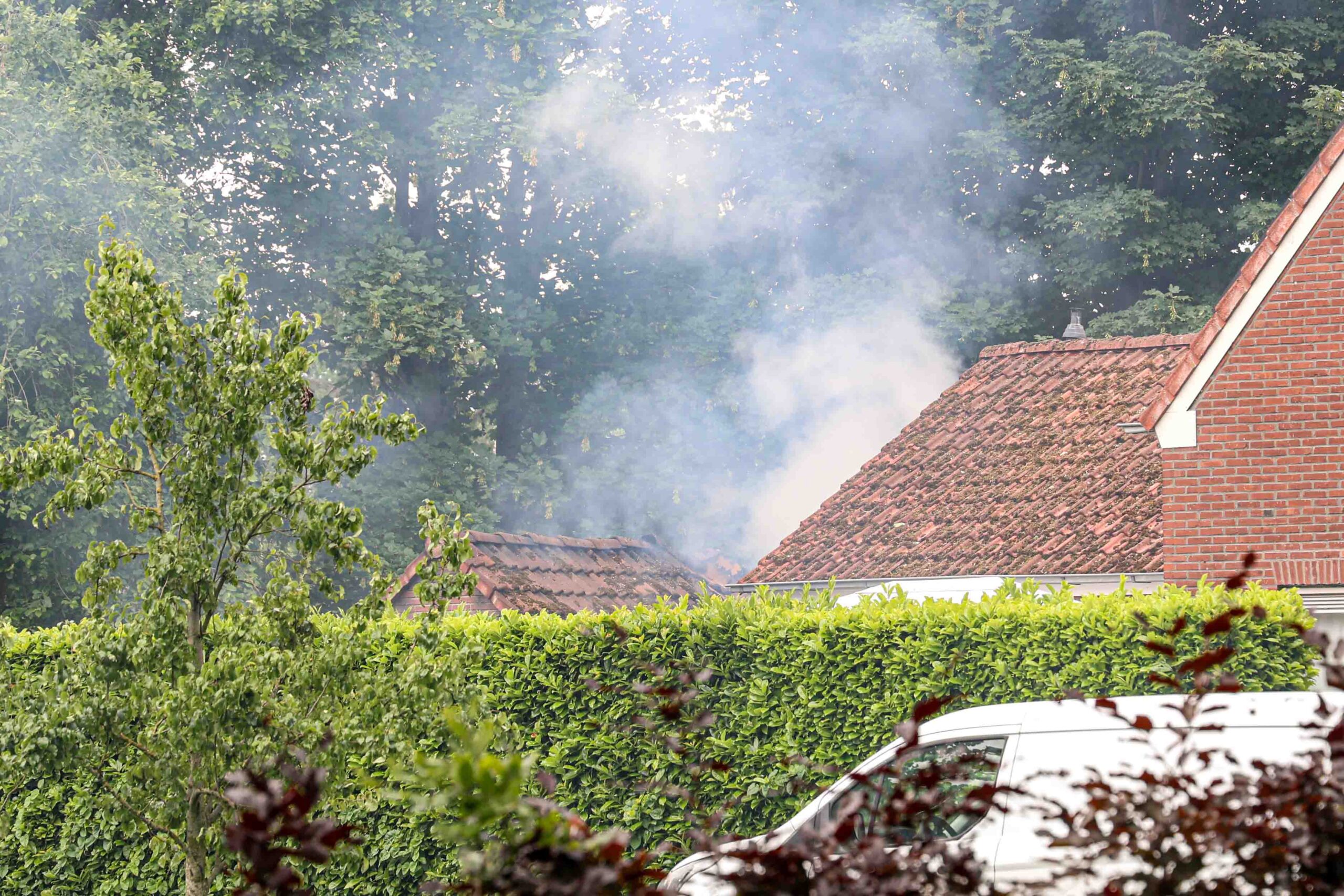 UPDATE: Katten omgekomen en één gewonde bij brand in bijgebouw