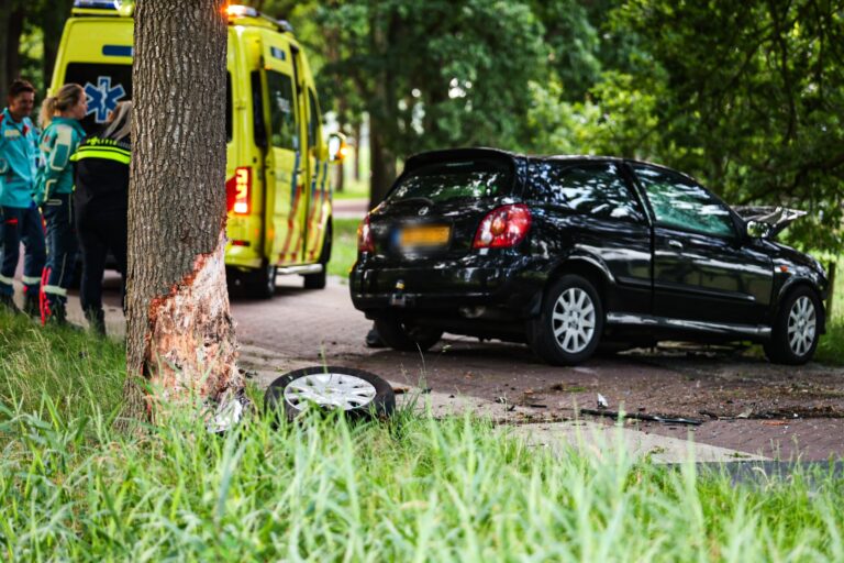 Man (76) overleden nadat auto op boom crasht