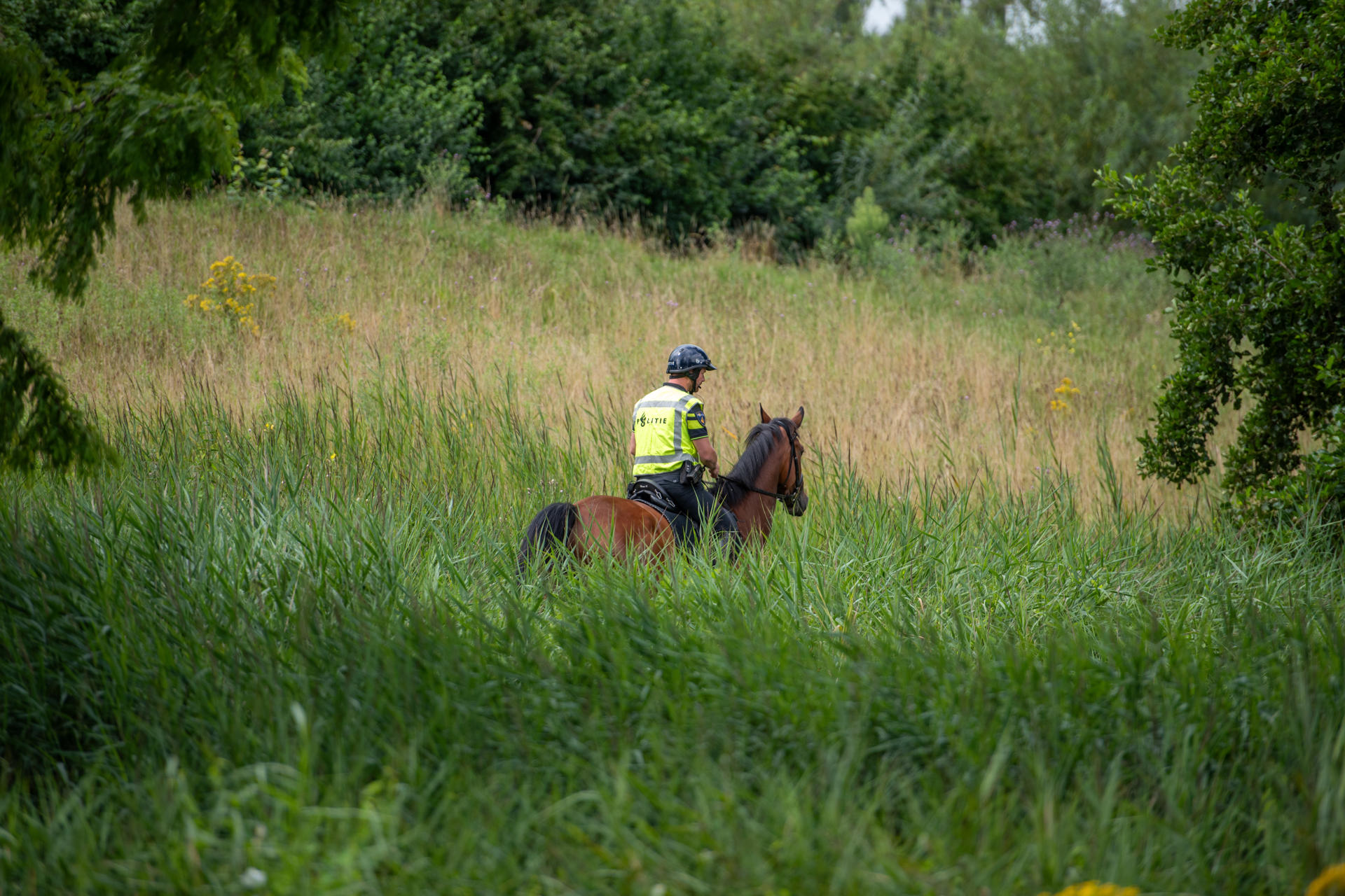 UPDATE: Vermist meisje (16) terecht, zoekactie beëindigd