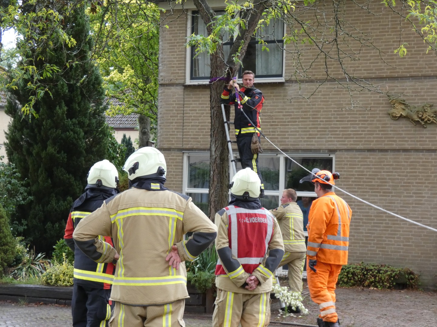 Brandweer zaagt gespleten boom om in voortuin