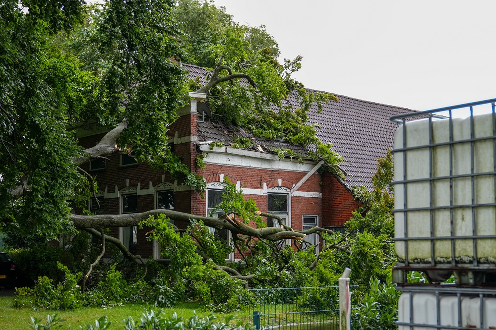 Boom valt op woning na blikseminslag