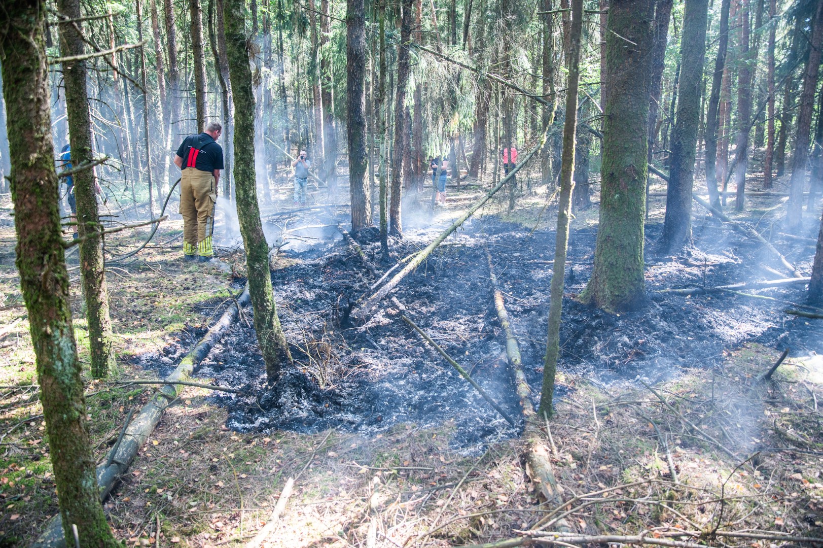 Bosbrand snel onder controle door snelle inzet brandweer