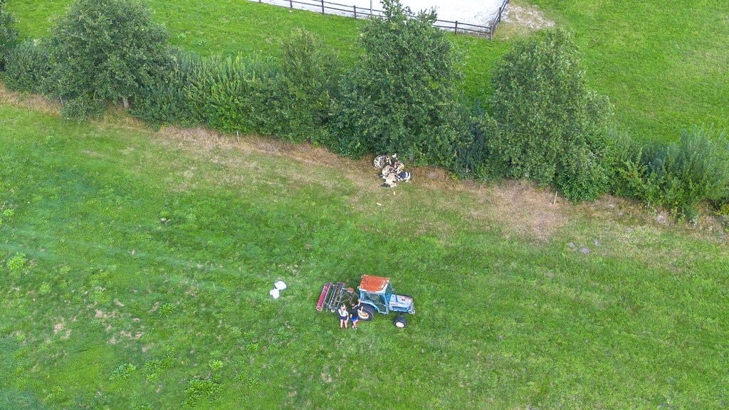 Brandweer redt damhert die vast zat in prikkeldraad