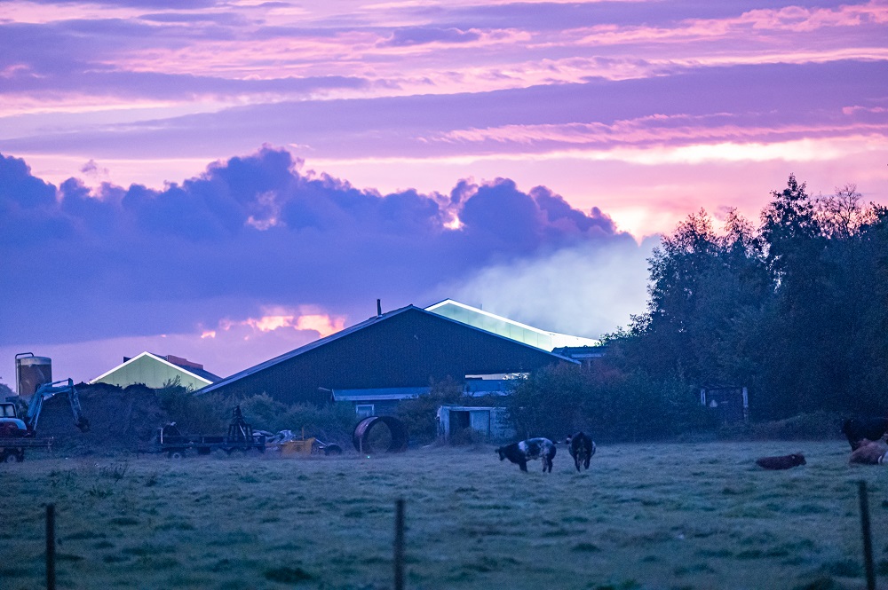 Grote brand in stal snel onder controle
