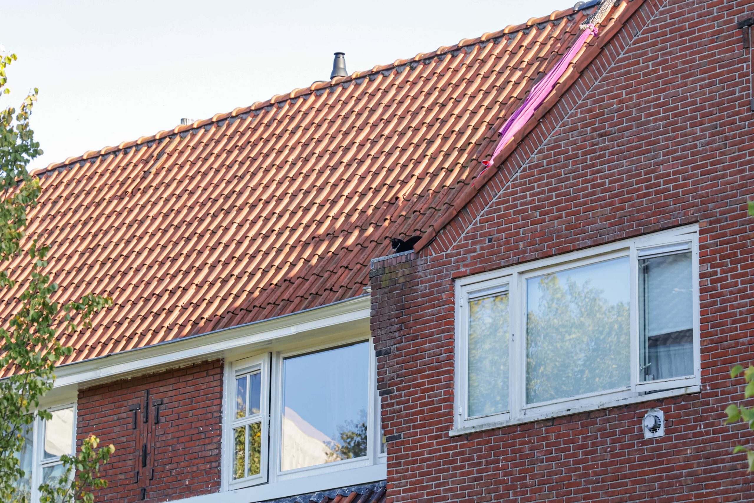 Brandweer redt kat die al enkele dagen vast zat op dak