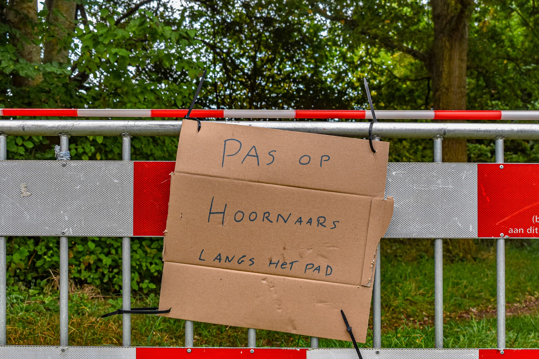 Vrouw en hond gestoken door Hoornaar, gebied afgesloten