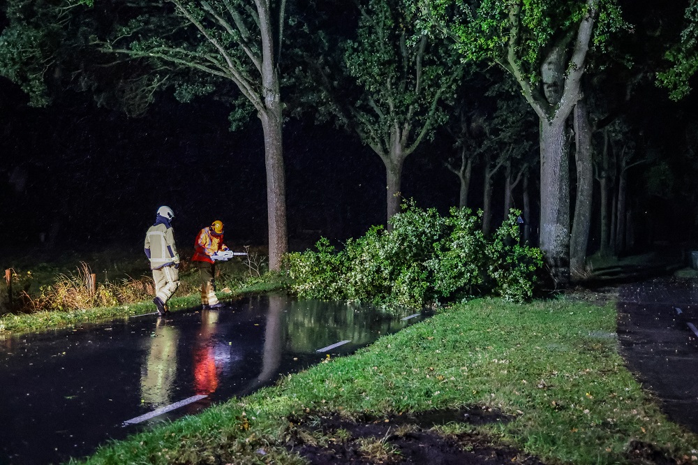 Grote tak waait op de weg, brandweer komt in actie