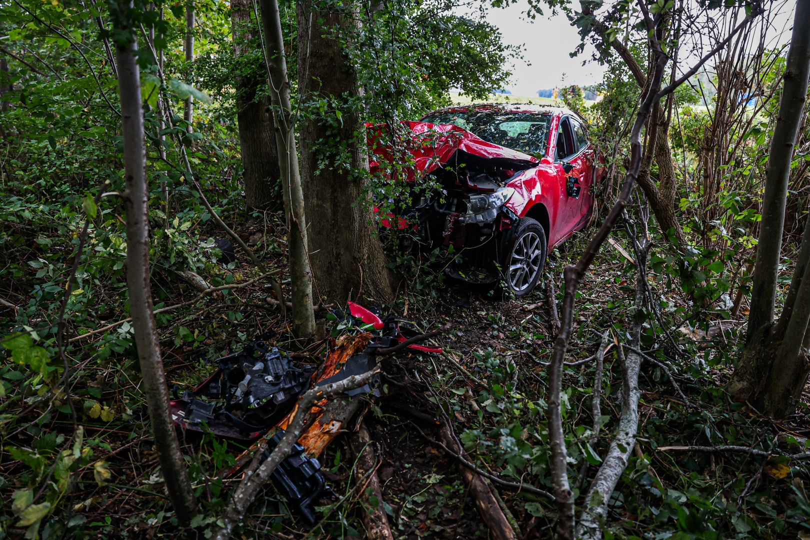 Bestuurder naar ziekenhuis na botsing tegen boom op de snelweg