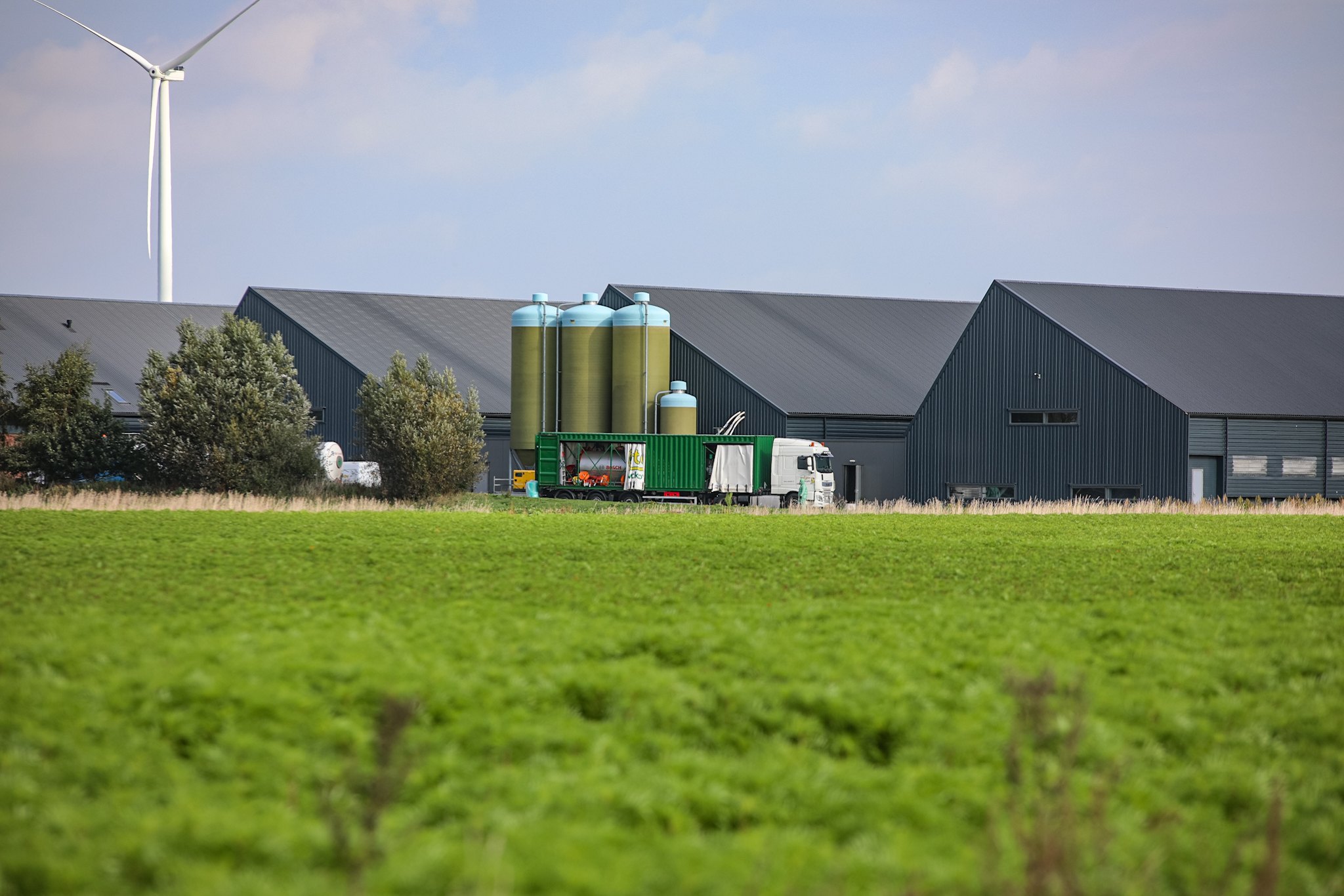 Landelijke ophokplicht voor pluimvee na nieuwe uitbraak van vogelgriep