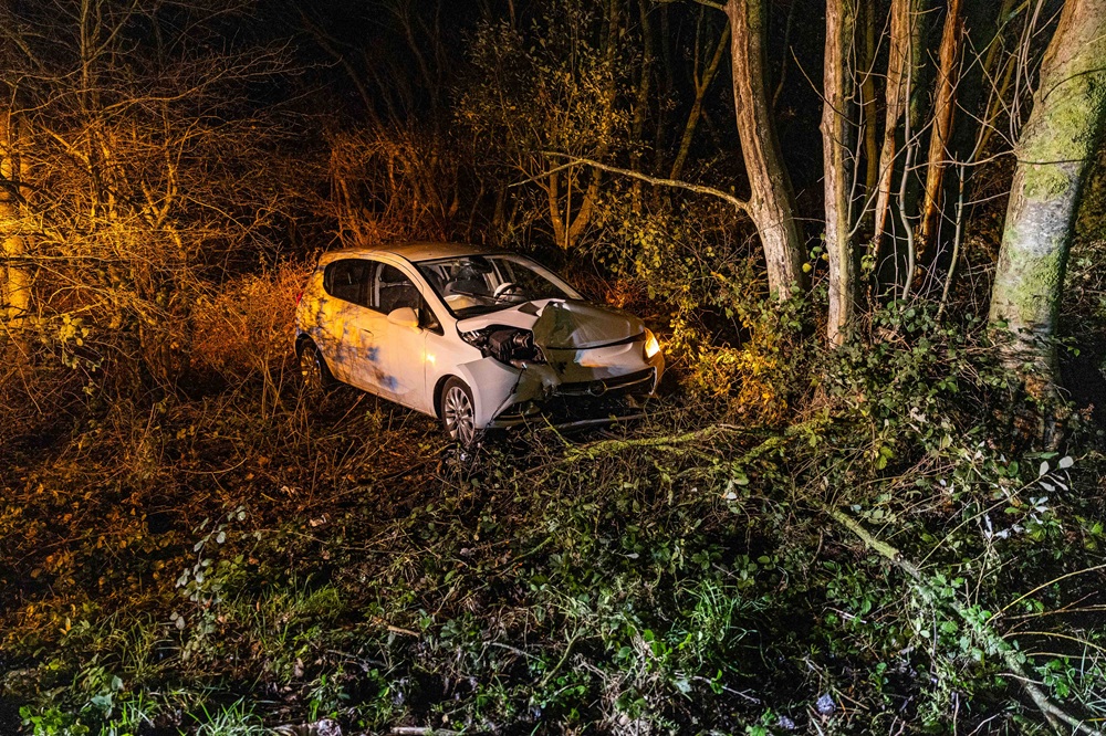 Auto raakt van snelweg en botst tegen boom