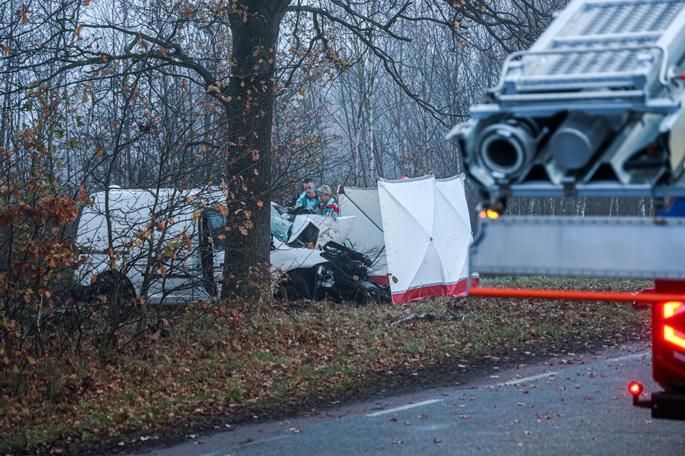 Bestuurder overlijdt na botsing tegen boom