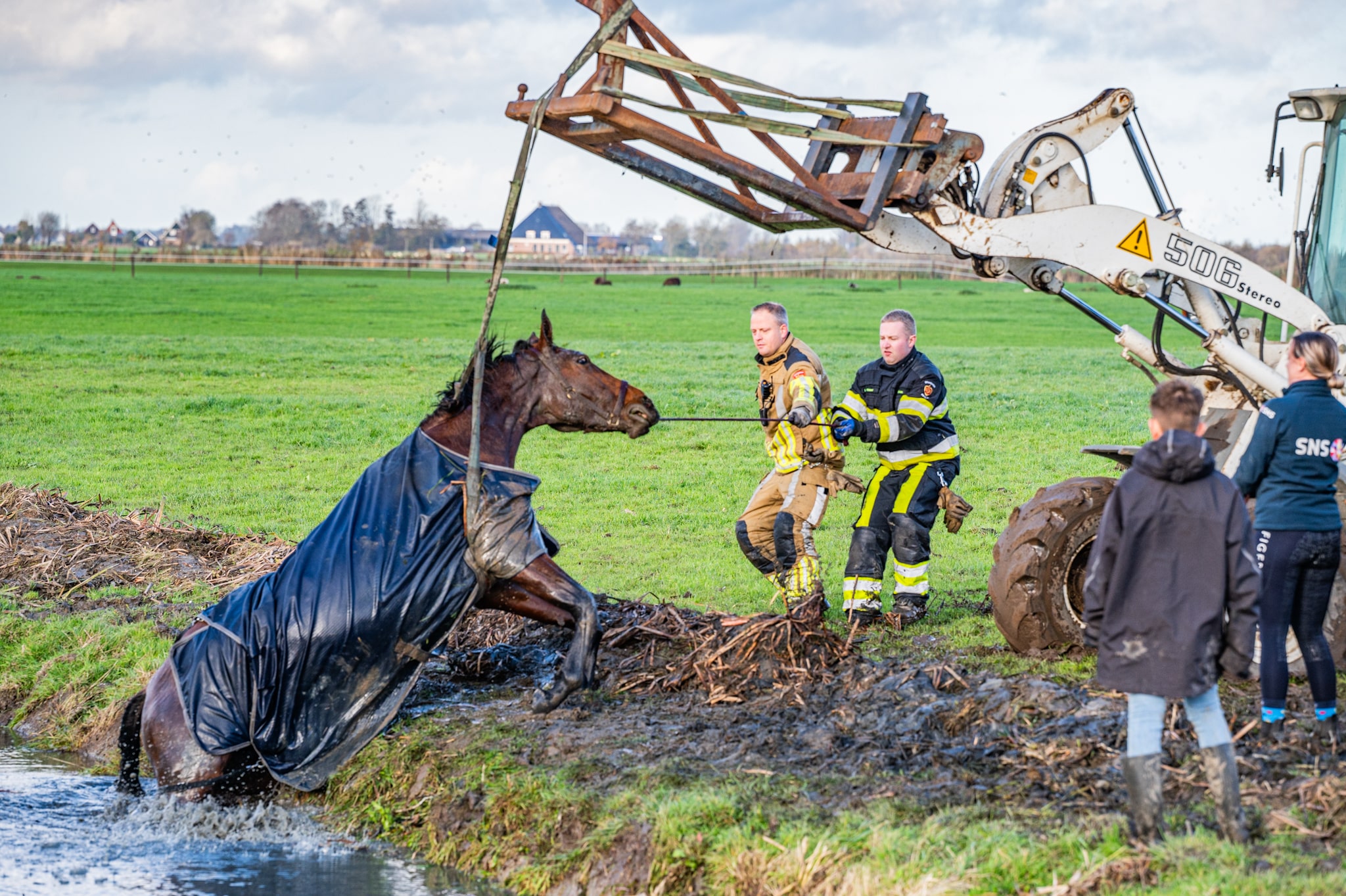 Brandweer redt paard uit sloot