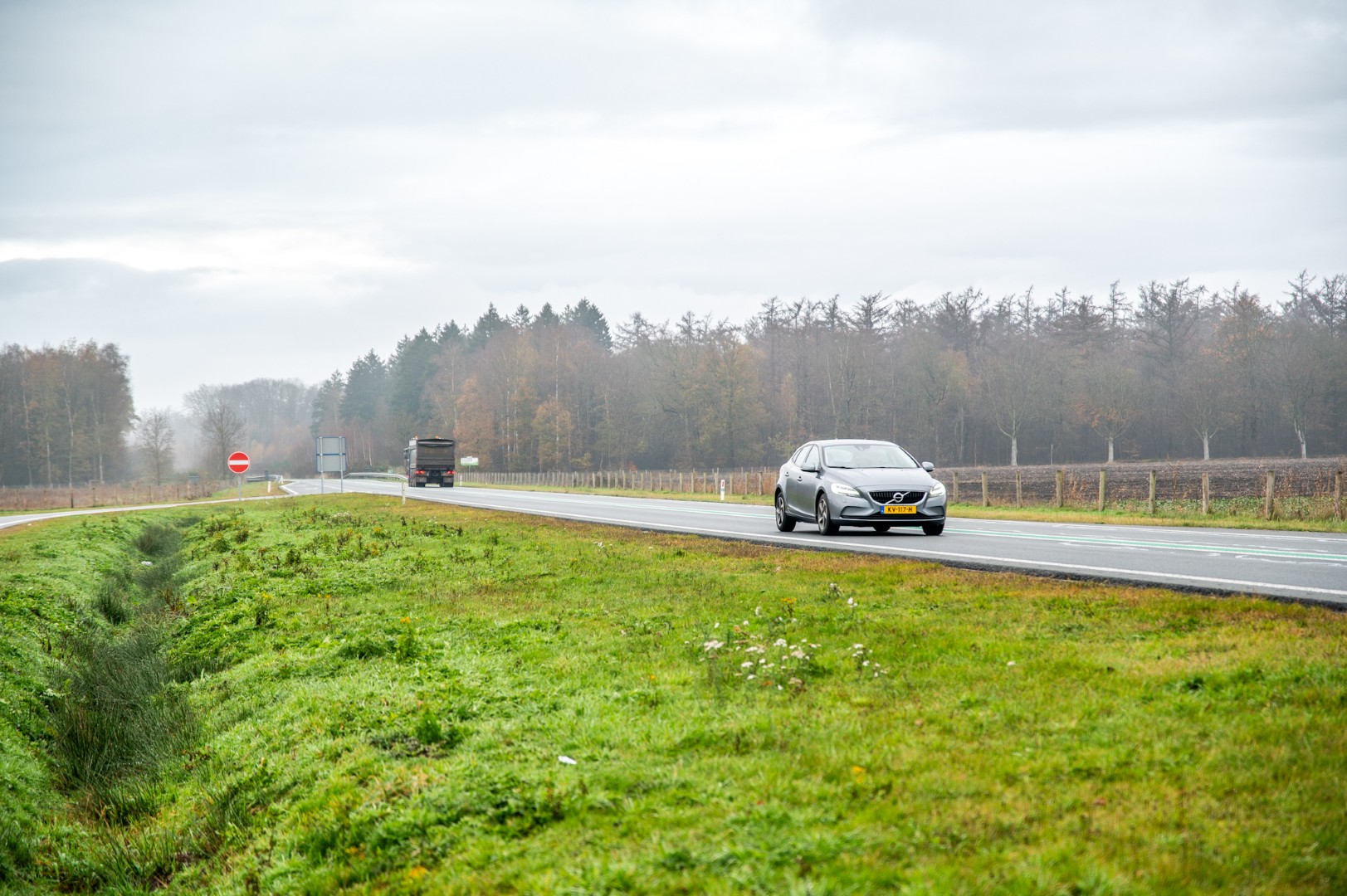 Wolf doodgereden, politie onderzoekt mogelijke opzettelijke aanrijding