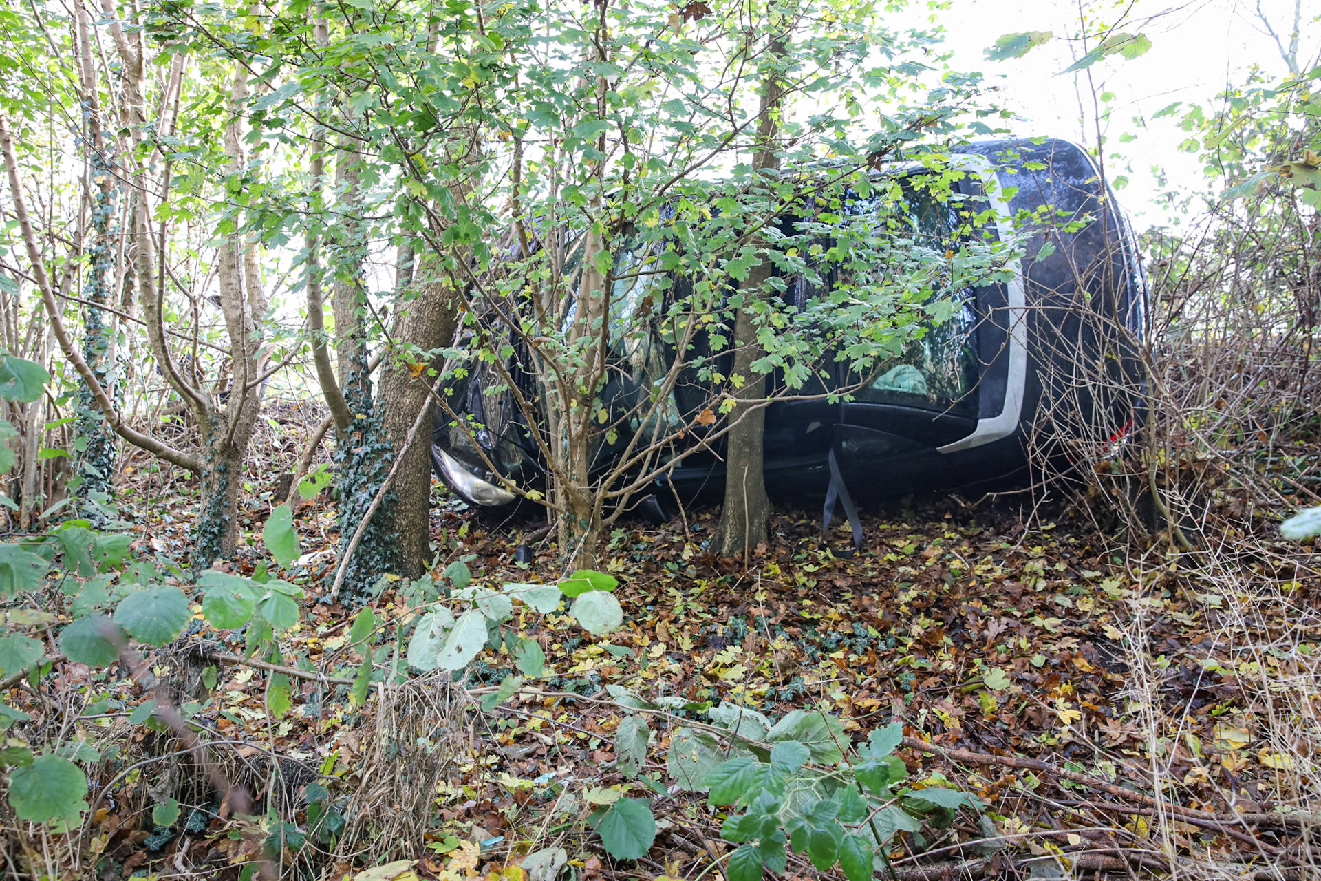 Auto raakt van de weg en knalt tegen bomen